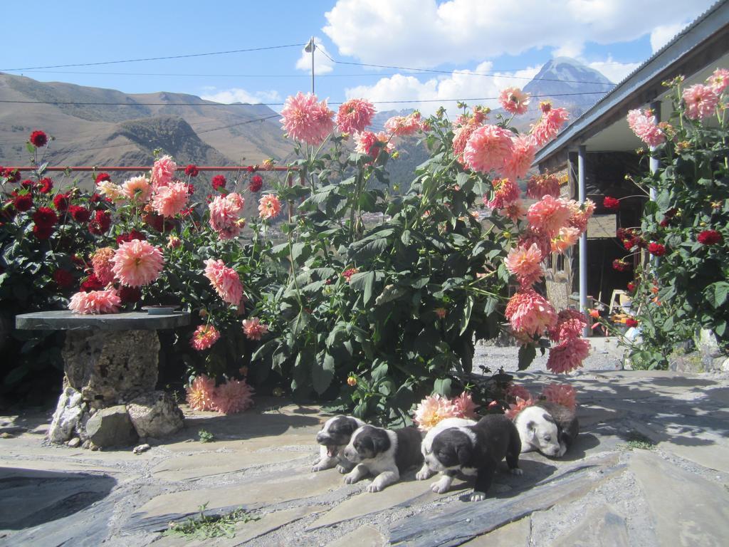 Qusha Guesthouse Meeting In The Mountains And Views Kazbegi Bilik gambar