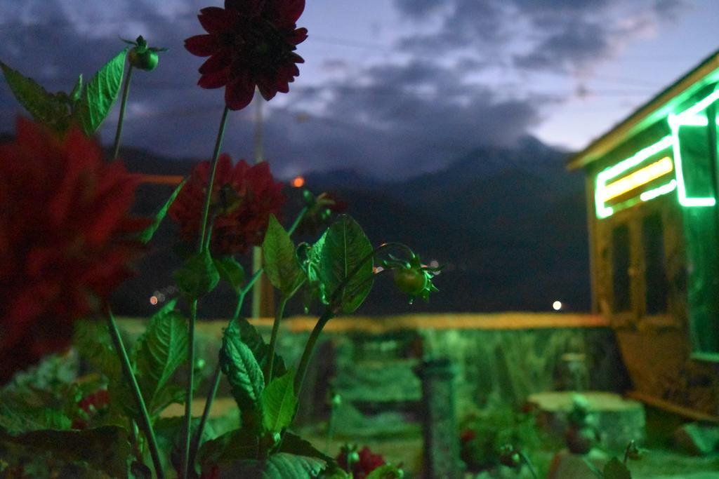 Qusha Guesthouse Meeting In The Mountains And Views Kazbegi Luaran gambar