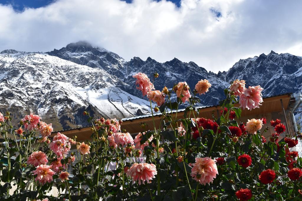 Qusha Guesthouse Meeting In The Mountains And Views Kazbegi Luaran gambar